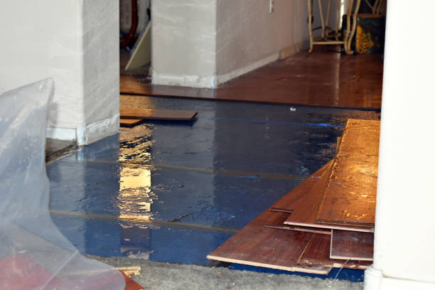 Professional Flood Cleanup technician working in Quinton, AL